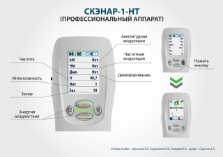 СКЭНАР-1-НТ (исполнение 01)  в Уссурийске купить Медицинская техника - denasosteo.ru 
