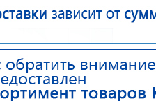 СКЭНАР-1-НТ (исполнение 01)  купить в Уссурийске, Аппараты Скэнар купить в Уссурийске, Медицинская техника - denasosteo.ru